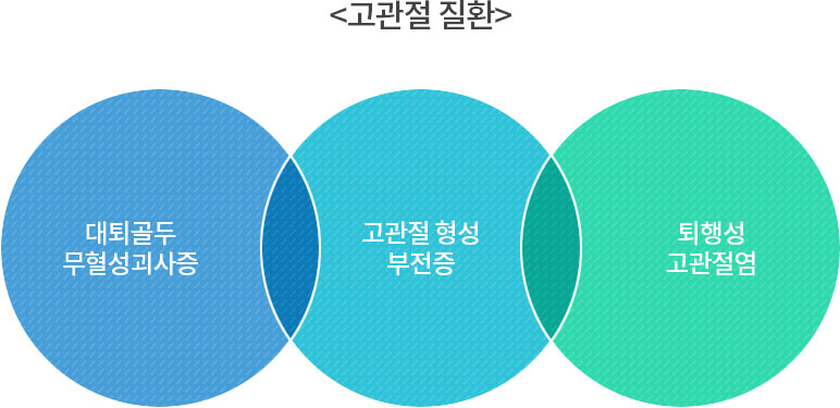 고관절 질환 이미지
